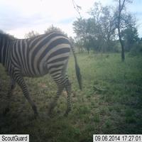 Dataset Image