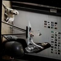 Dataset Image