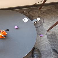 Dataset Image