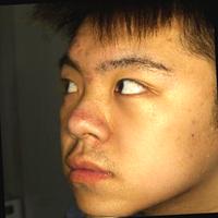 Dataset Image