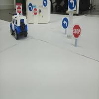 Dataset Image