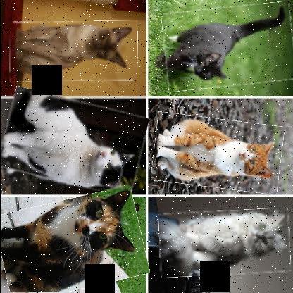 Dataset Image