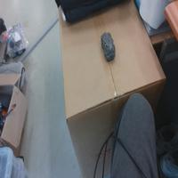 Dataset Image