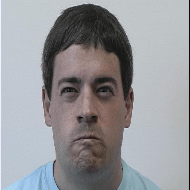 Dataset Image