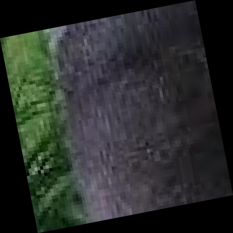 Dataset Image