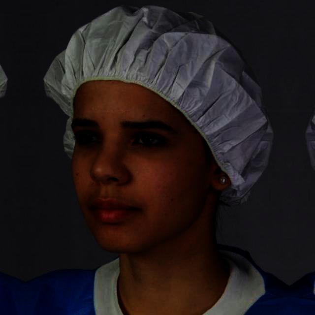 Dataset Image