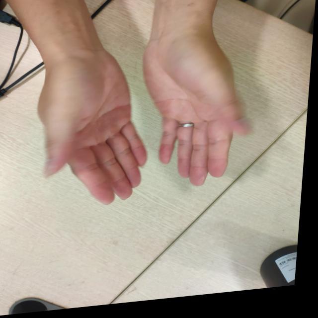Dataset Image