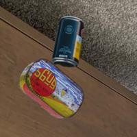 Dataset Image