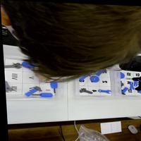Dataset Image