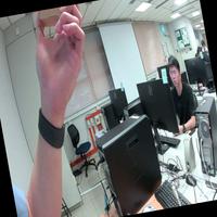 Dataset Image