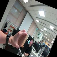 Dataset Image