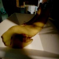 Dataset Image
