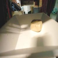 Dataset Image