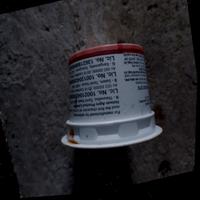Dataset Image