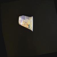 Dataset Image