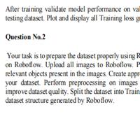 Dataset Image
