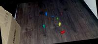 Dataset Image