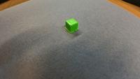 Dataset Image