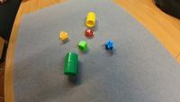 Dataset Image