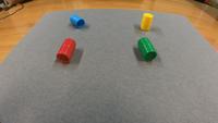 Dataset Image