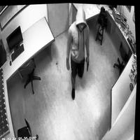 Dataset Image