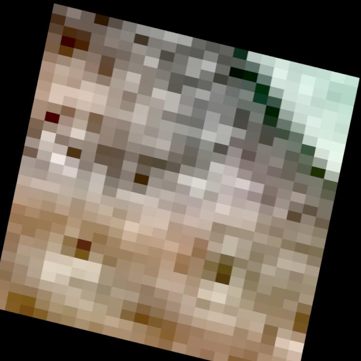 Dataset Image