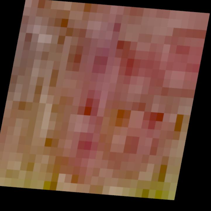 Dataset Image