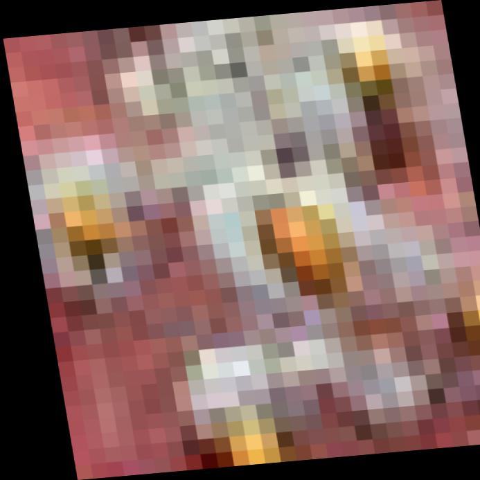 Dataset Image