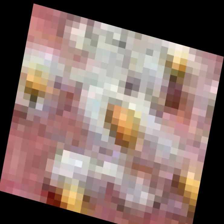 Dataset Image