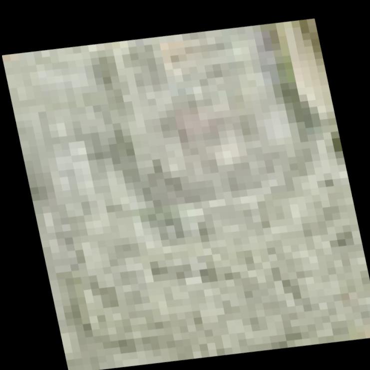 Dataset Image