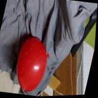 Dataset Image