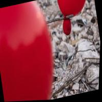 Dataset Image
