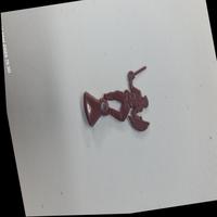 Dataset Image