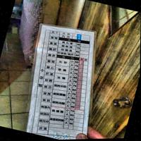 Dataset Image