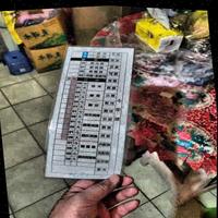 Dataset Image