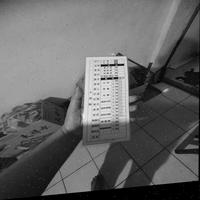 Dataset Image