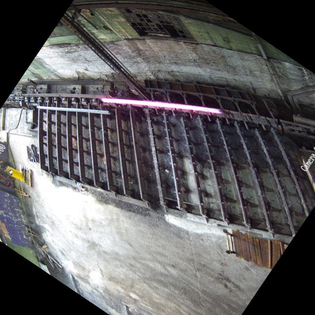 Dataset Image