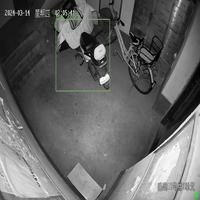 Dataset Image
