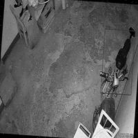 Dataset Image