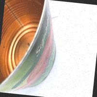 Dataset Image