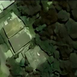 Dataset Image