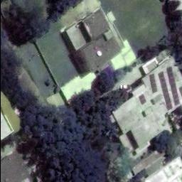 Dataset Image