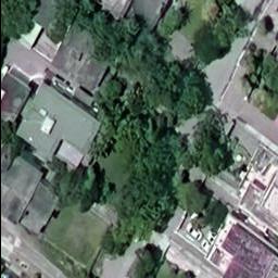 Dataset Image