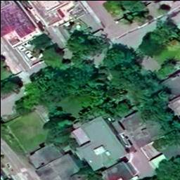 Dataset Image