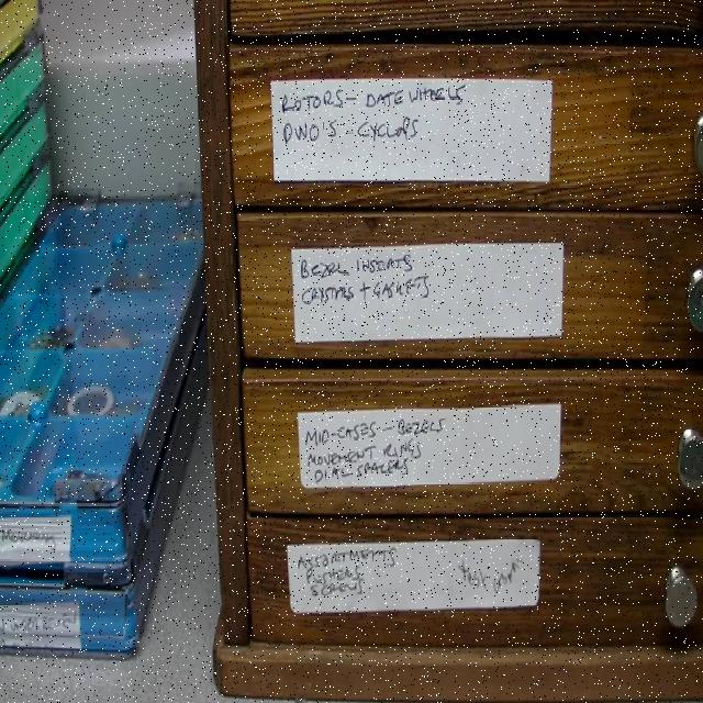 Dataset Image