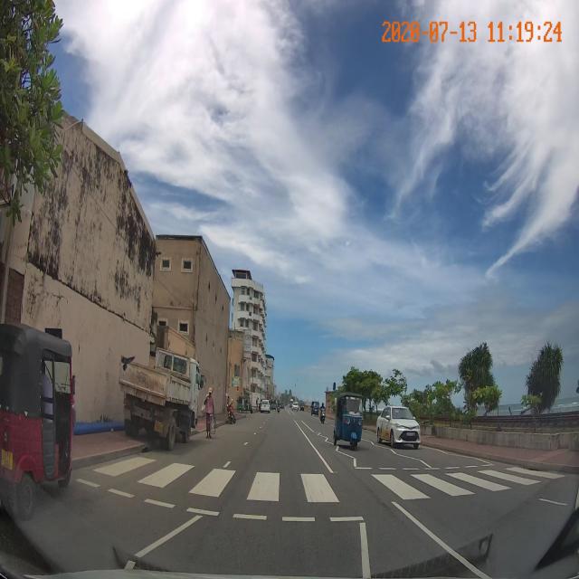 Dataset Image