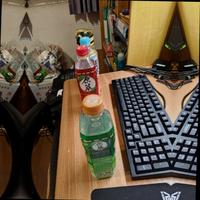 Dataset Image