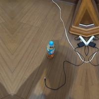 Dataset Image