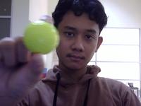 Dataset Image