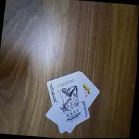 Dataset Image